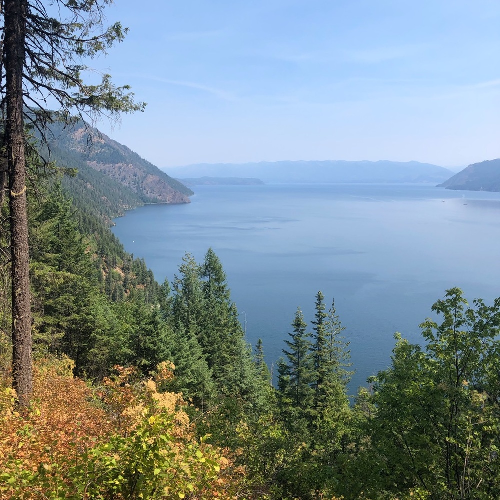 Meet your Posher, Libby